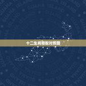十二生肖婚配对照图，属相婚配表大全图生肖