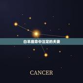 白羊座命中注定的夫妻，白羊座星盘婚运