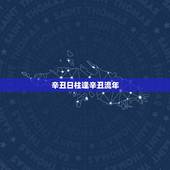 辛丑日柱逢辛丑流年，2022 流年与日柱相同运势