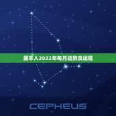 属羊人2022年每月运势及运程，属龙人2022年运势运程每月运程