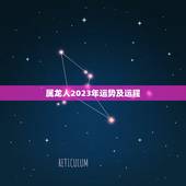 属龙人2023年运势及运程，属龙人2023年每月运势及运程
