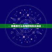 家里养什么乌龟好吗风水说法，风水知识家里养乌龟好吗