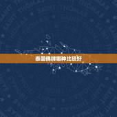 泰国佛牌哪种比较好，泰国佛牌最招财的是哪款啊？