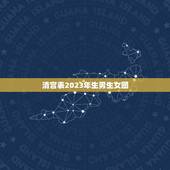清宫表2023年生男生女图，清宫图2023年生男生女表怎么算