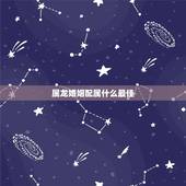 属龙婚姻配属什么最佳，男属龙的和什么属相最配