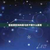 爸爸属蛇妈妈属马孩子属什么属相，属兔的跟什么属相相冲