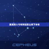 属龙的人今年财运怎么样下半年，19771月23属龙人今年财运好吗？