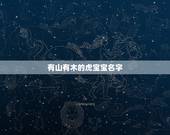 有山有木的虎宝宝名字 属虎取名带山带木