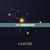 2022紫薇流年运势，想看看个人的紫微流年运势，包含流年、大运、小限等