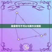 属猪男可不可以与属牛女婚配，属猪男的和属牛女的结为夫妻可以吗？