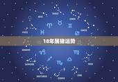 18年属猪运势，2018年属猪人的全年运势