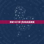 苏轼1037年1月8日出生属相，苏东坡属相是什么
