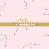 2022虎年是什么命年，2022年属虎的是什么命