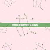 虎牛属相婚配生什么生肖好，属牛的和什么属相最配 属牛的属相婚配表