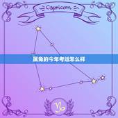 属兔的今年考运怎么样，属兔今年运势