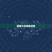 属猪今年感情运势，属狗的人2017年运程