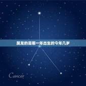 属龙的是哪一年出生的今年几岁，22岁是哪一年出生的