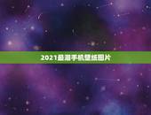 2021最潮手机壁纸图片，哪位大神有这张图片高清壁纸，越高清越好，真的