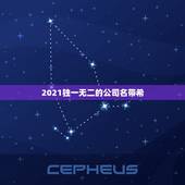 2021独一无二的公司名带希，名字的重要性是什么？