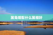 属兔婚配什么属相好，兔子与属什么的婚姻最配