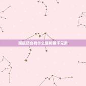属鼠适合找什么属相做干兄弟，属鼠人和什么属相合作最好