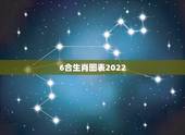 6合生肖图表2022，2022 年龄对照表