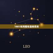 1981年鸡哪年是桃花年，1981年鸡