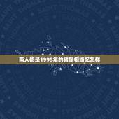 两人都是1995年的猪属相婚配怎样，1995男猪和什么属相婚配好