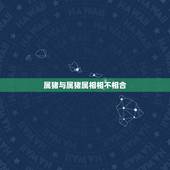 属猪与属猪属相相不相合，属猪和什么属相相冲