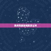 属虎和属鼠婚配怎么样，属鼠和属虎相配吗？