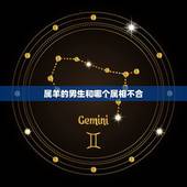 属羊的男生和哪个属相不合，男属羊的和什么属相最不配