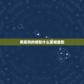 男属狗的婚配什么属相最配，属狗的男人和什么属相最配？