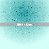 属猴男与属蛇女，属猴男更佳婚配属相
