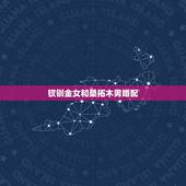 钗钏金女和桑拓木男婚配，女桑拓木和男钗钏金命在一起好吗