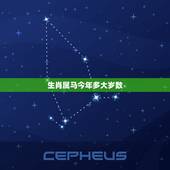 生肖属马今年多大岁数，属马年龄对照表