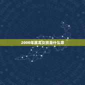2000年属龙女孩是什么命，属龙的和什么属相最配