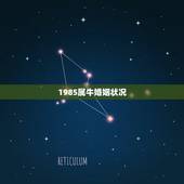 1985属牛婚姻状况 85年属牛一生两次婚姻