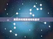 属蛇的和哪属相婚配最好，属相婚配表，属蛇的和什么属相最配