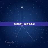 鸡和羊在一起对谁不利，鸡和羊相配婚姻如何