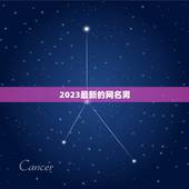 2023最新的网名男，2023最火的昵称男