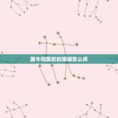 属牛和属蛇的婚姻怎么样，属蛇男和属牛女的缘分
