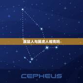 属鼠人与属虎人相克吗，属羊和属牛的相克吗