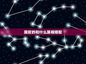 属蛇的和什么属相婚配，属蛇的贵人是什么属相