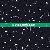 小孩属羊的今年多大，属羊的六十几岁了