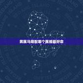 男属马婚配哪个属相最好命，92年属猴的属相婚配表正月猴与94年属狗的配