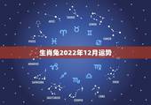 生肖兔2022年12月运势，属兔今年运势2021年运势