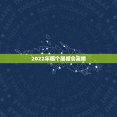 2022年哪个属相会离婚，2022年运势最好的生肖