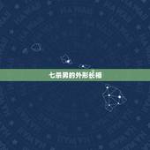七杀男的外形长相，有部小说的男主角叫林枫他以前是杀手还有个组织叫七杀