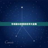牛年缺水的男孩名字大全集，五行缺水属牛取什么名字好听