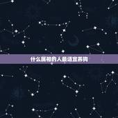 什么属相的人最适宜养狗，如果属龙的人养狗会怎么样